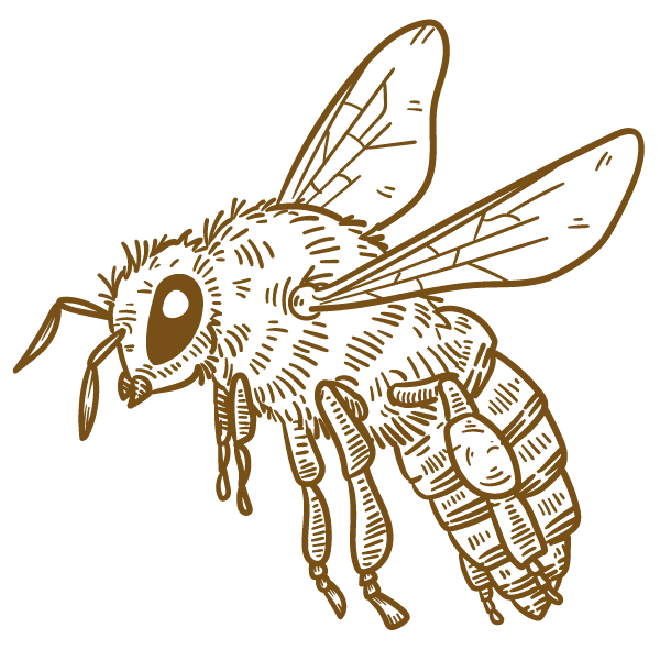 Bees-Illustration