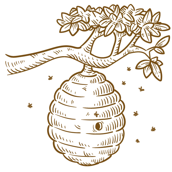Bee Products-Illustration