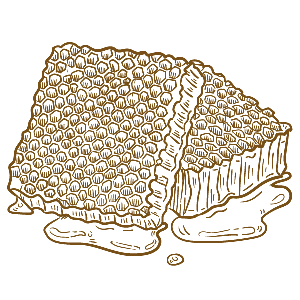 Nutritional Value-Illustration